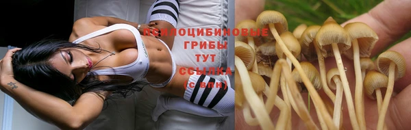 кокаин премиум Алзамай